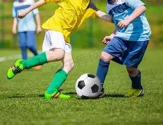 甘锐掌舵,亚冠烽火燃,教练激励全,彩神争霸,彩票预测,彩票平台,在线投注,彩票分析